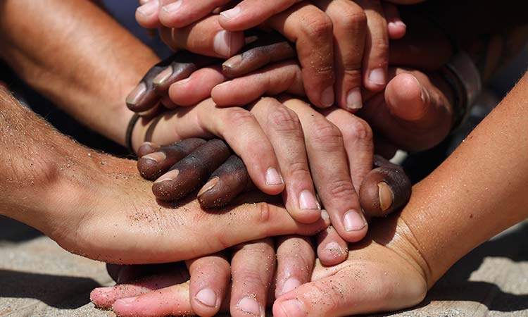 connecting disciplines